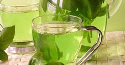 چای سبز افراط در مصرف چای سبز ممنوع