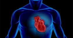 بیماری قلبی رابطه بیماری‌های قلبی با خواب آخر هفته